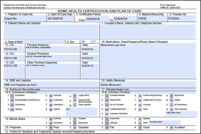 Chart Audit Form For Home Health